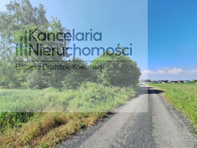 Działka Sprzedaż Witkowice 1