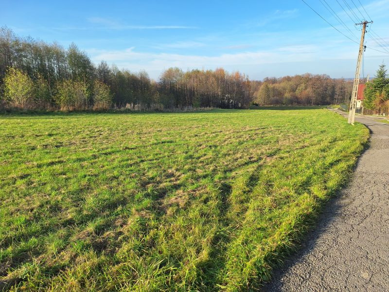 Działka Sprzedaż Czaniec