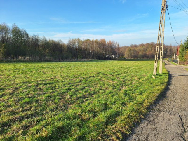 Działka Sprzedaż Czaniec 8