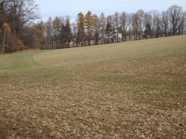 Działka Sprzedaż Czechowice-Dziedzice 3