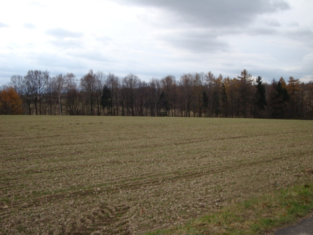 Działka Sprzedaż Czechowice-Dziedzice 5