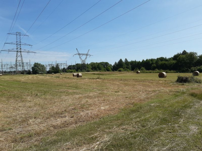 Działka Sprzedaż Kobiernice 4